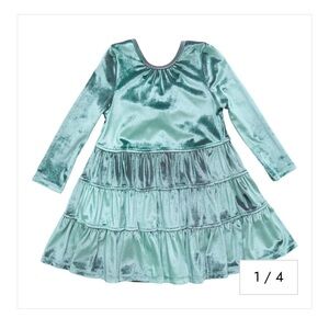 Pink Chicken Shimmering Velvet Dress